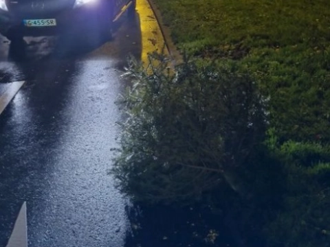 Rondvliegende kerstbomen door storm